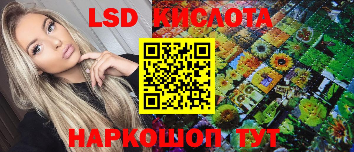 цены наркотик  Марки N-bome 1500мкг  Вход с VPN  Марки N-bome 1500мкг  Курск 